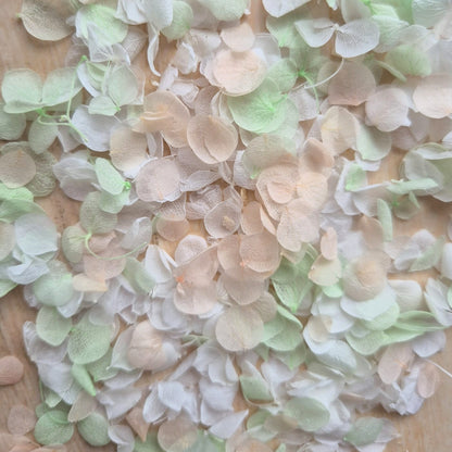 Snow Petal Confetti - Light Mint Peach White
