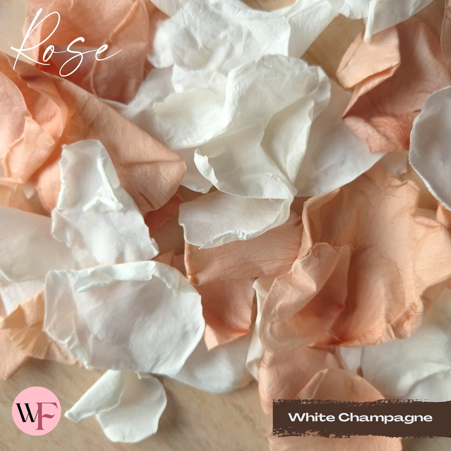 Rose Petals - White Champagne