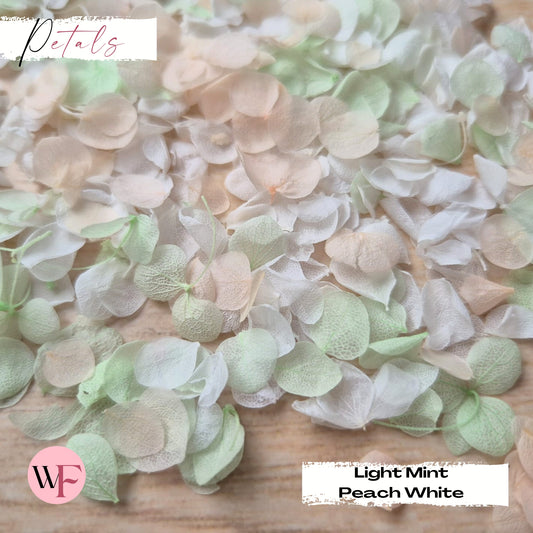 Snow Petal Confetti - Light Mint Peach White
