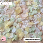 Snow Petal Confetti - Sherbet Pastel