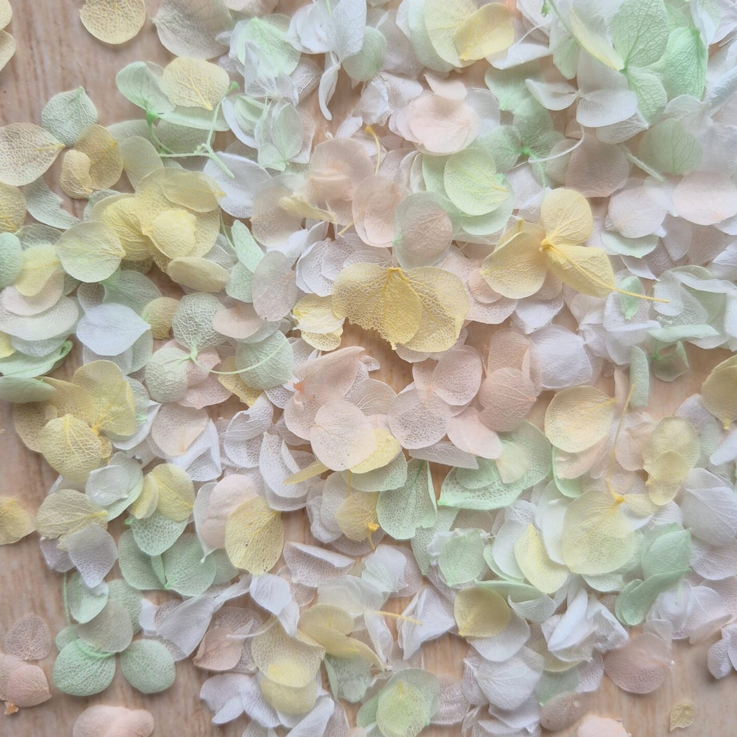 Snow Petal Confetti - Sherbet Pastel