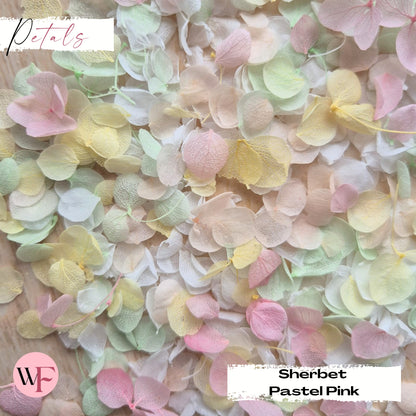 Snow Petal Confetti - Sherbet Pastel Pink