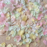 Snow Petal Confetti - Sherbet Pastel Pink