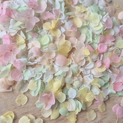 Snow Petal Confetti - Sherbet Pastel Pink