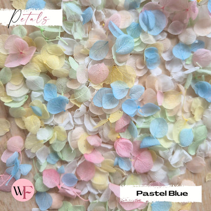 Snow Petal Confetti - Pastel Blue