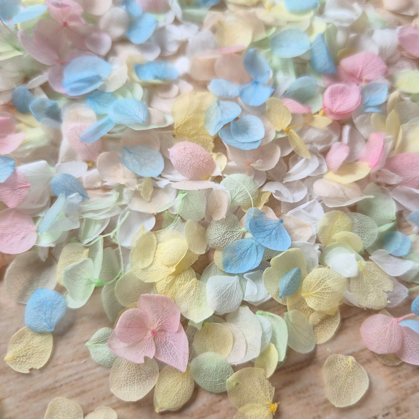 Snow Petal Confetti - Pastel Blue