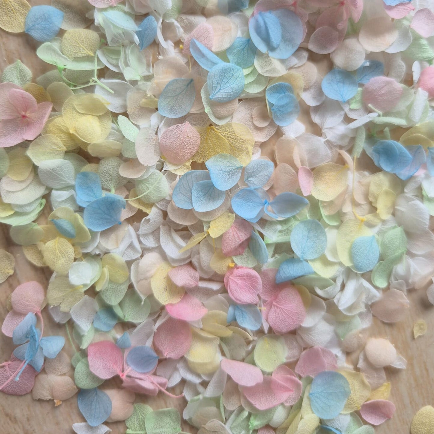 Snow Petal Confetti - Pastel Blue