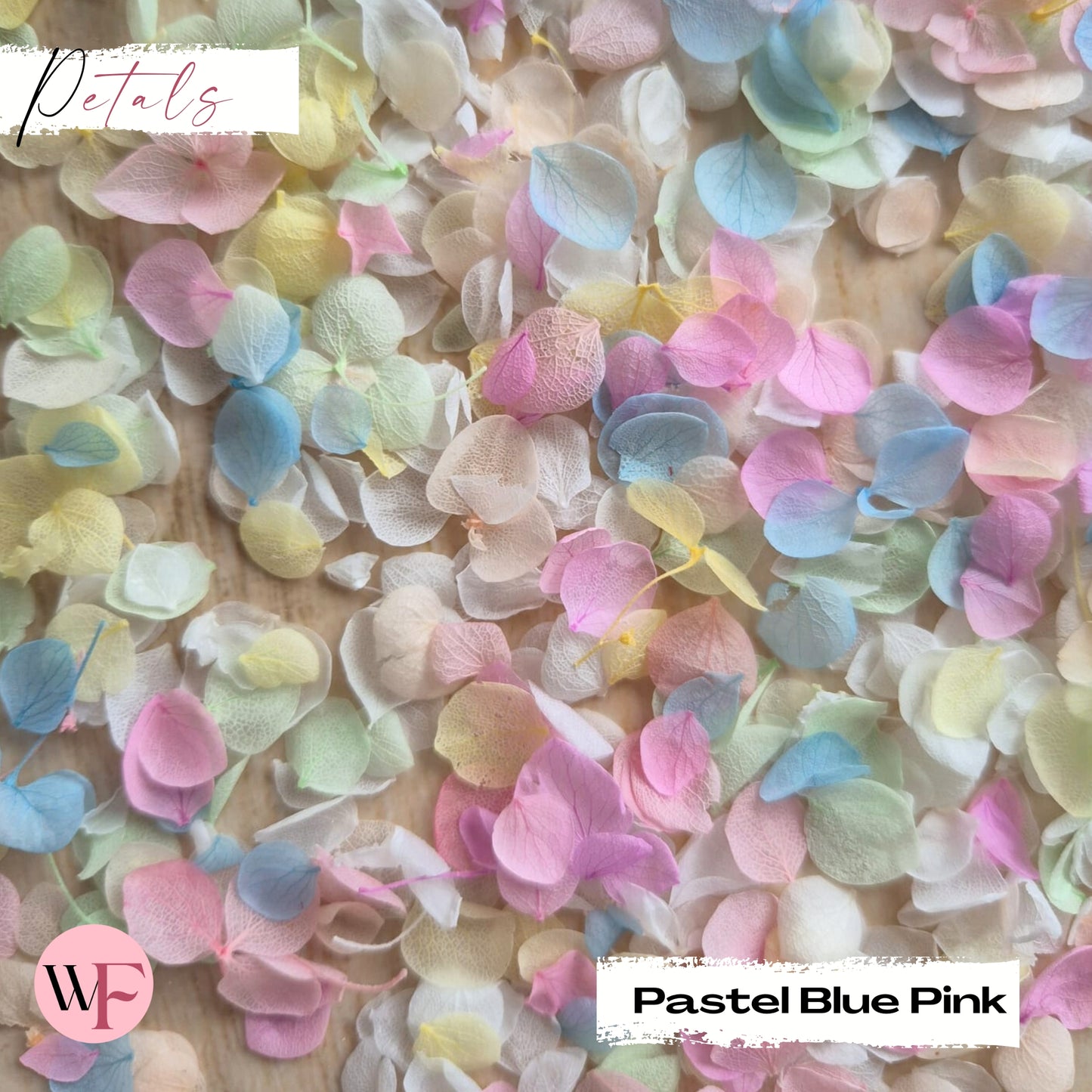 Snow Petal Confetti - Pastel Blue Pink
