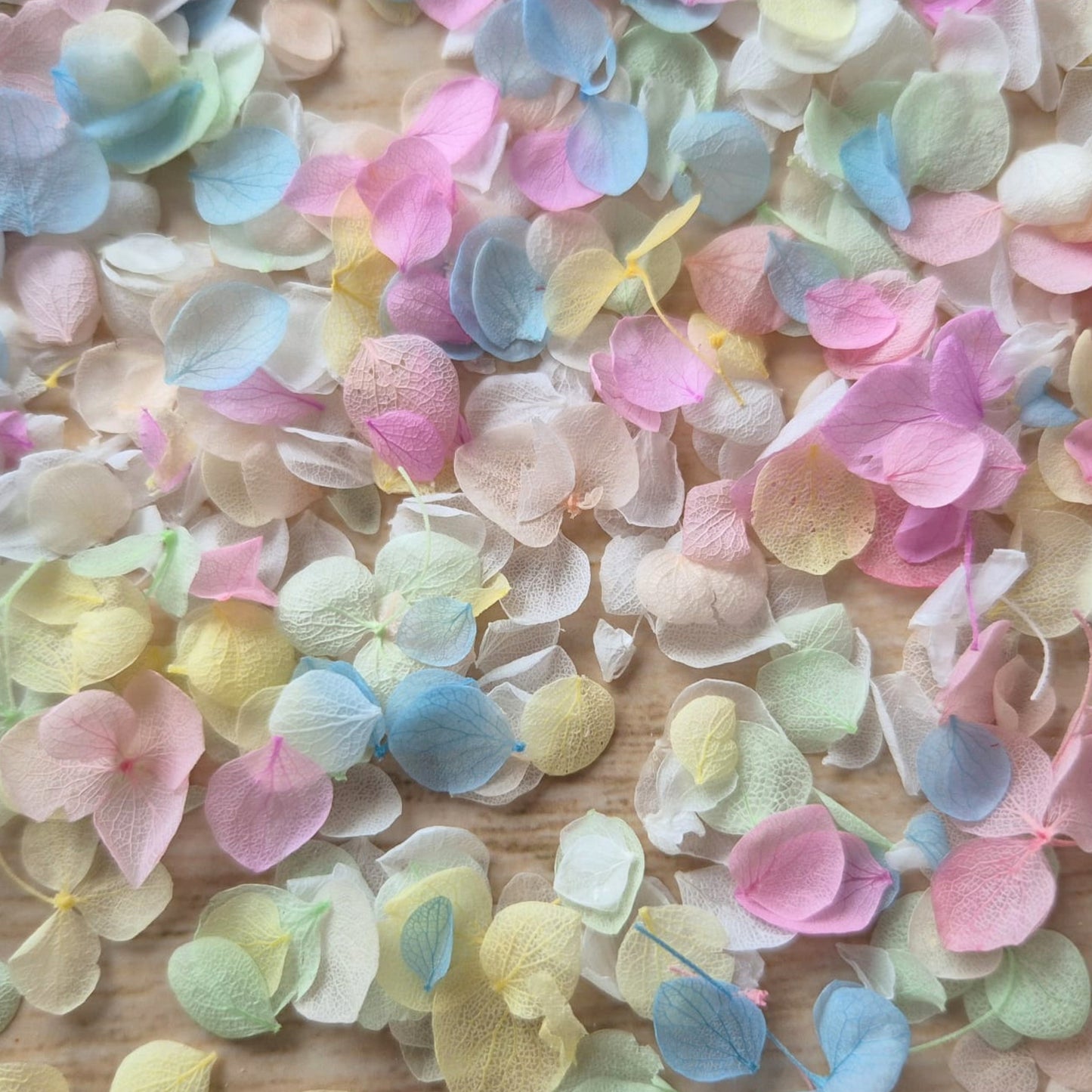 Snow Petal Confetti - Pastel Blue Pink
