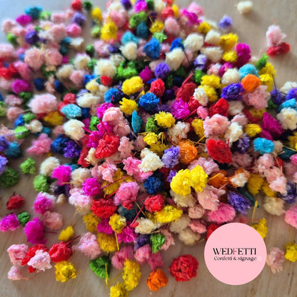 Rainbow Buds Confetti