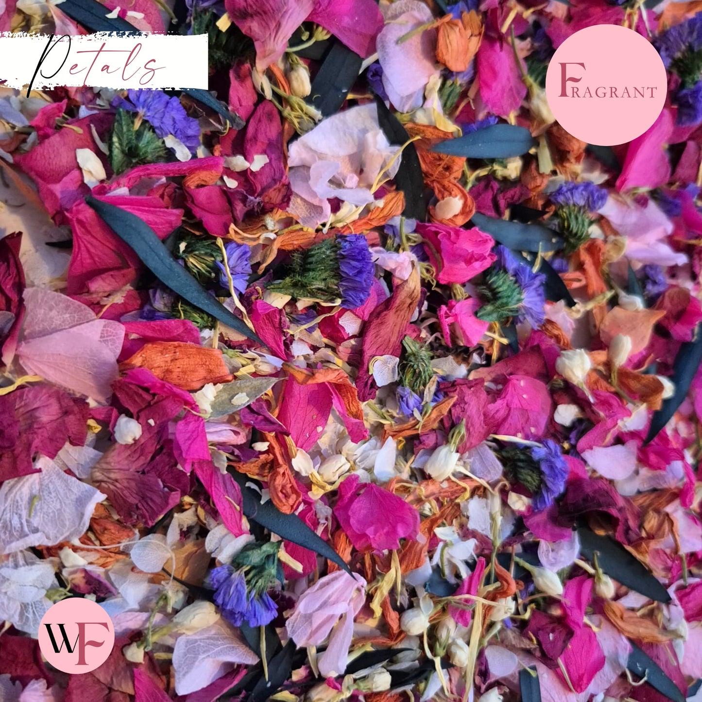 Petals - Pretty Pink purple Multi Mix + Fuschia