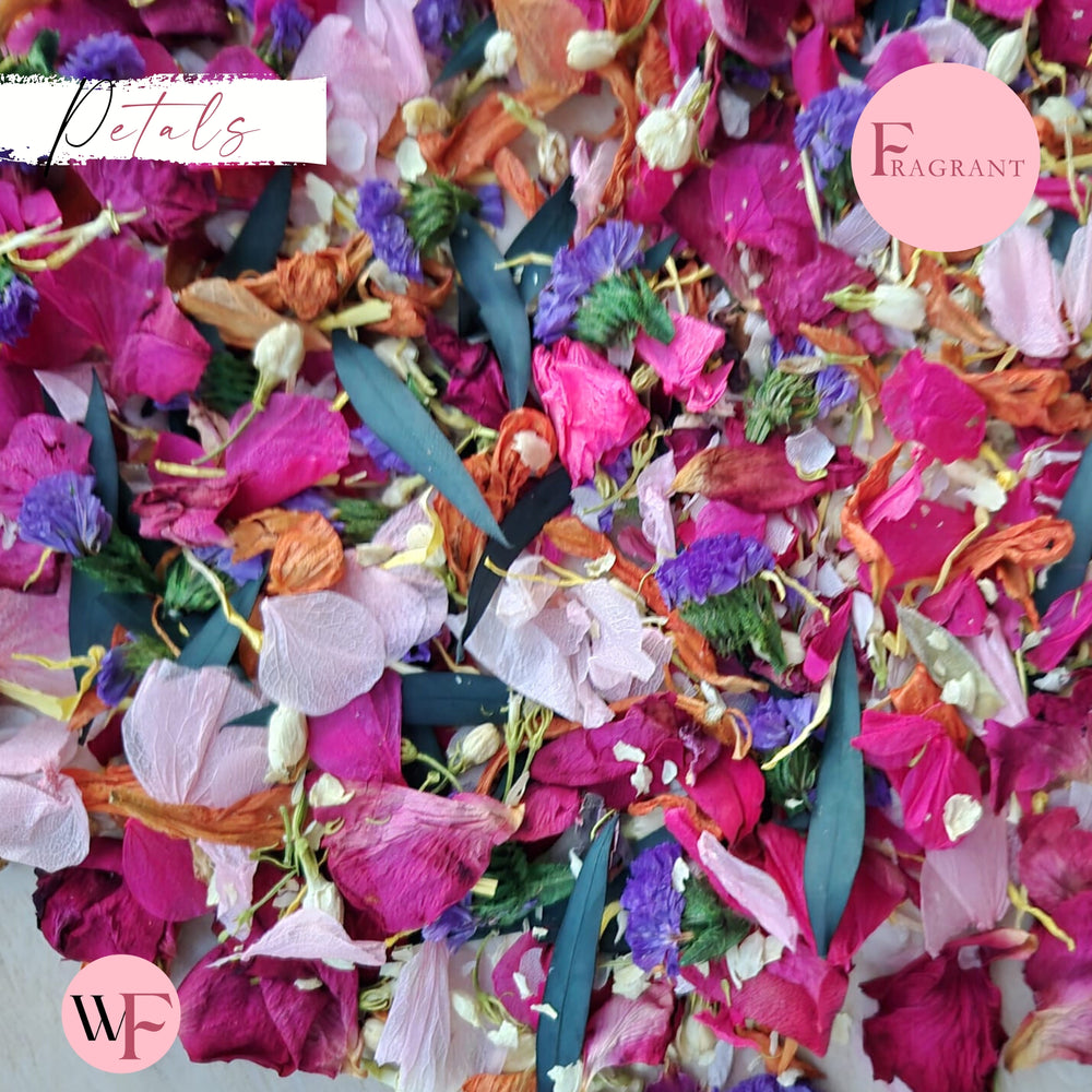 Petals - Pretty Pink purple Multi Mix + Fuschia