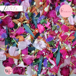 Petals - Pretty Pink purple Multi Mix + Fuschia