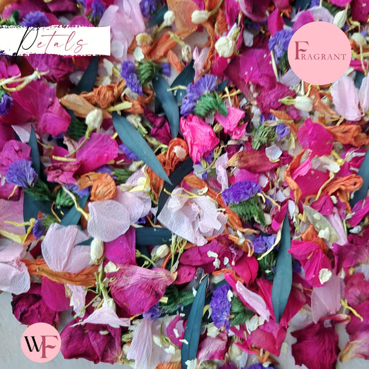 Petals - Pretty Pink purple Multi Mix + Fuschia