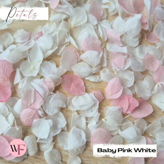 Snow Petal Confetti - Baby Pink White
