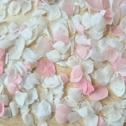 Snow Petal Confetti - Baby Pink White