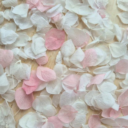 Snow Petal Confetti - Baby Pink White