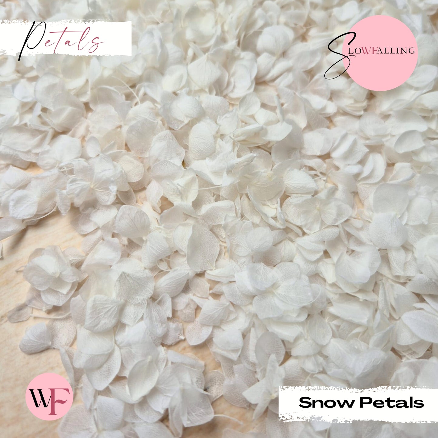 Petal Confetti - Snow Petals