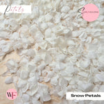 Petal Confetti - Snow Petals