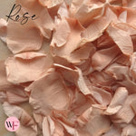 Rose Petals - Champagne