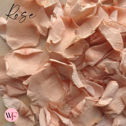Rose Petals - Champagne