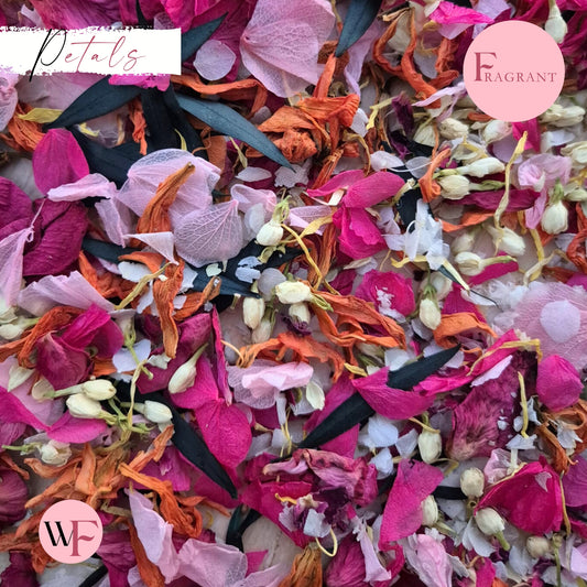 Petals - Pretty Pink Multi Mix + Fuschia