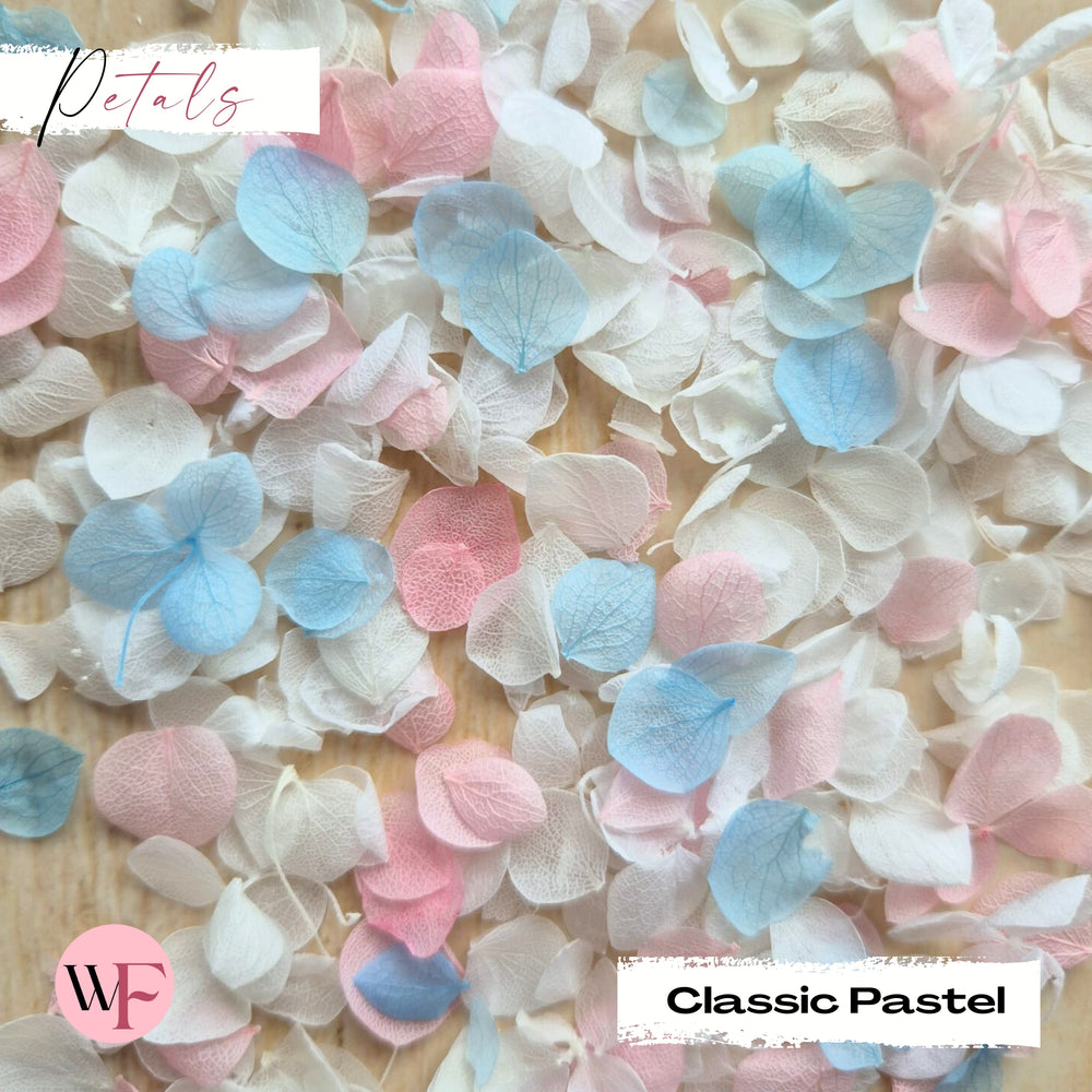 Snow Petal Confetti - Classic Pastel