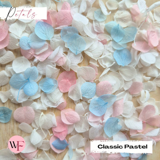 Snow Petal Confetti - Classic Pastel
