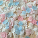Snow Petal Confetti - Classic Pastel