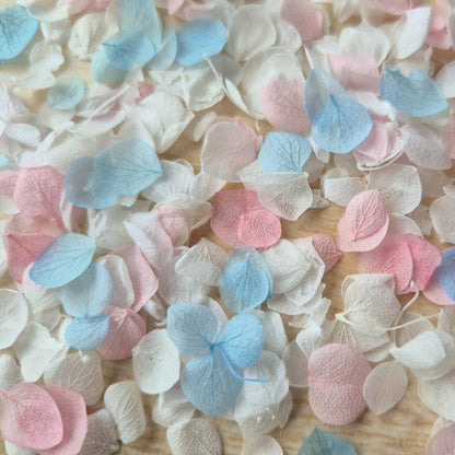 Snow Petal Confetti - Classic Pastel
