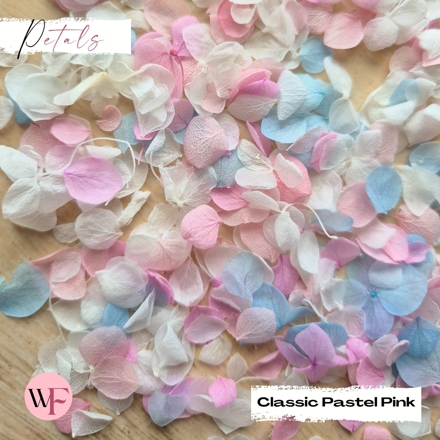 Snow Petal Confetti - Classic Pastel Pink