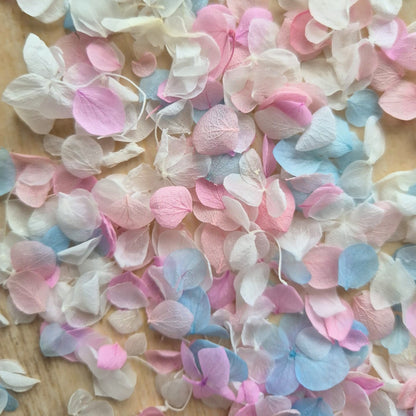 Snow Petal Confetti - Classic Pastel Pink