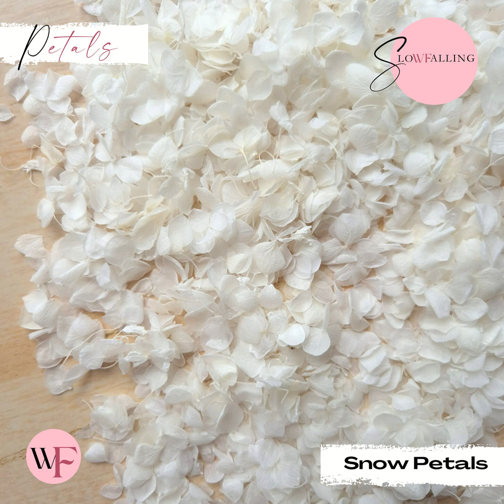 Petal Confetti - Snow Petals