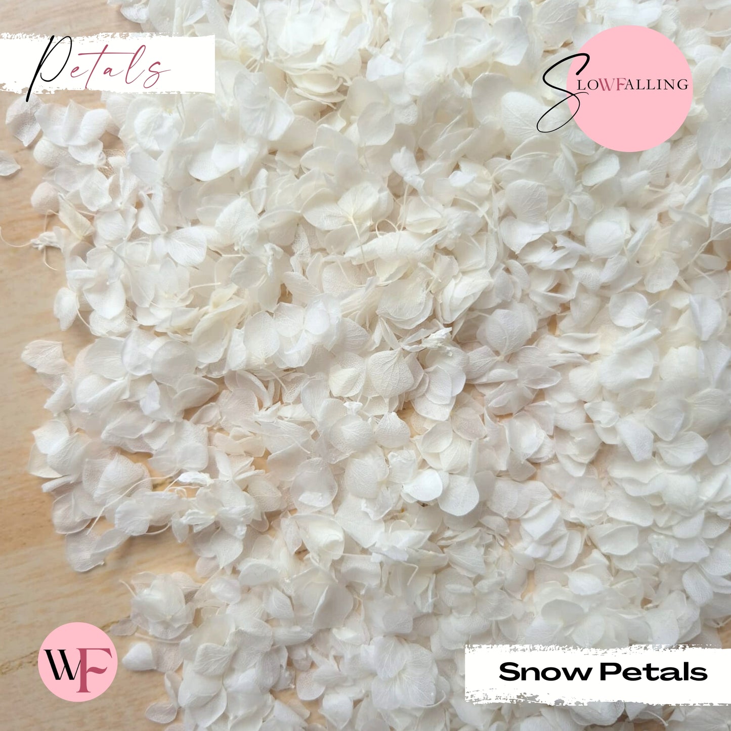 Petal Confetti - Snow Petals