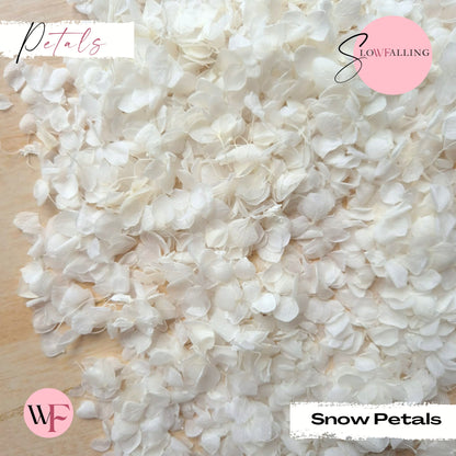 Petal Confetti - Snow Petals