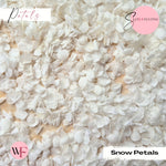 Petal Confetti - Snow Petals