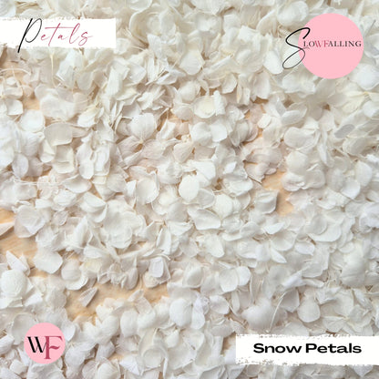 Petal Confetti - Snow Petals