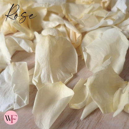 Rose Petals - Sherbet