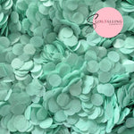 Slow falling paper Confetti - Mint