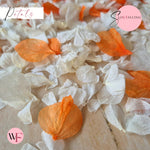 Petal Confetti hydrangea - Orange White