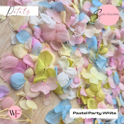 Petal Confetti - Pastel Party White