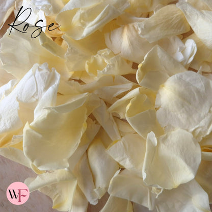 Rose Petals - Sherbet