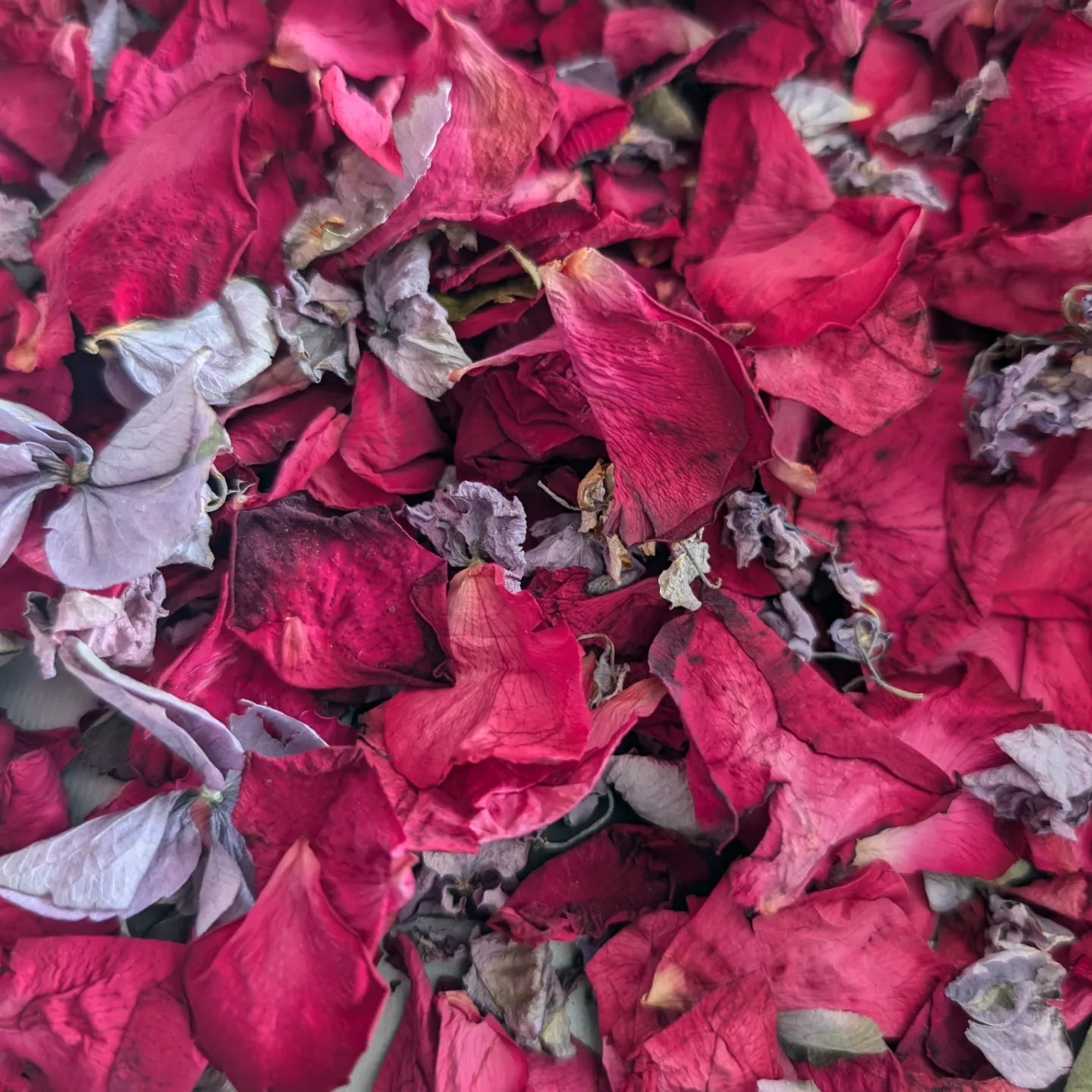 Red Rose & Purple Hydrangea mix Litre