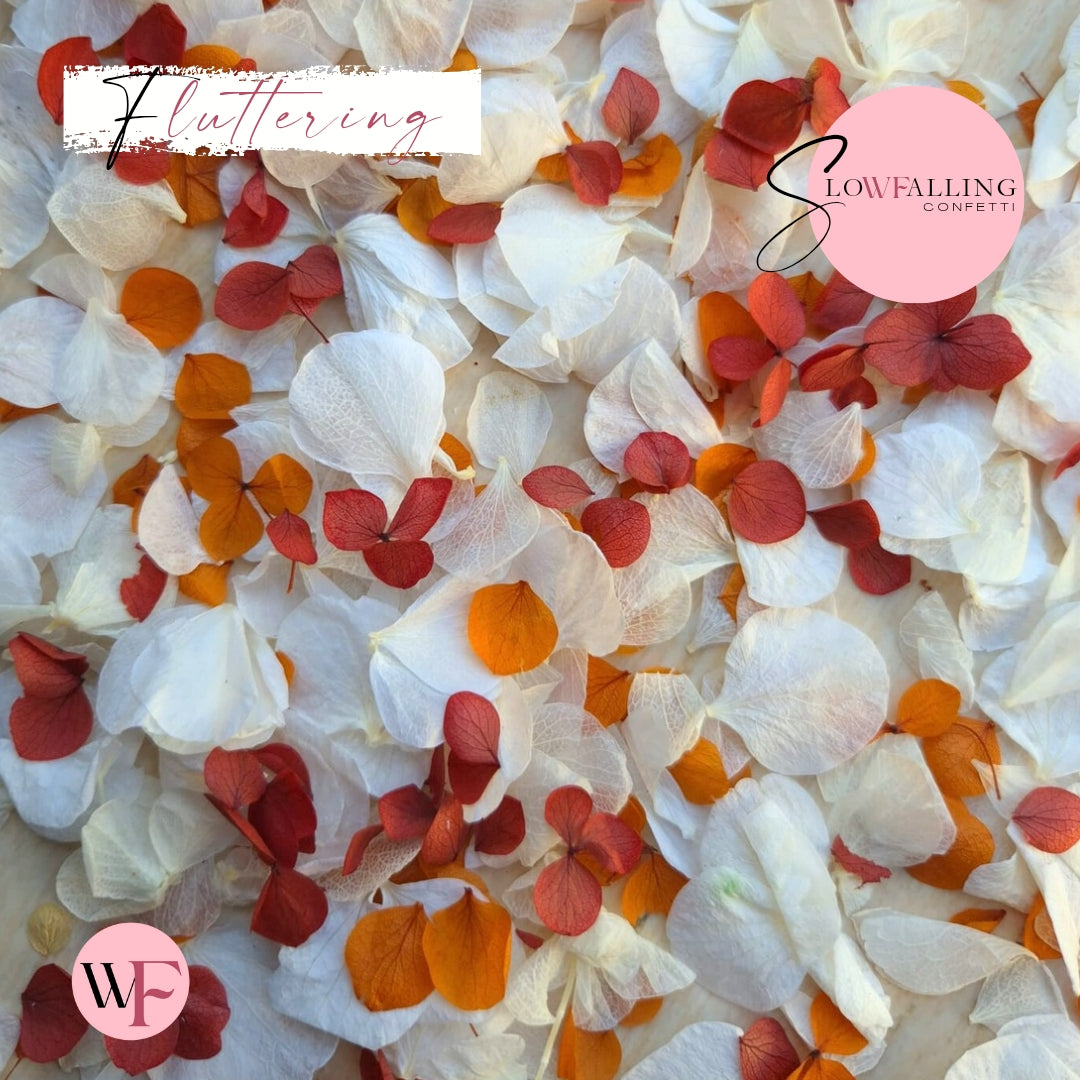 Petal Confetti hydrangea - Soft Autumn mix