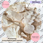 Fluttering Ivory hydrangea PETALS