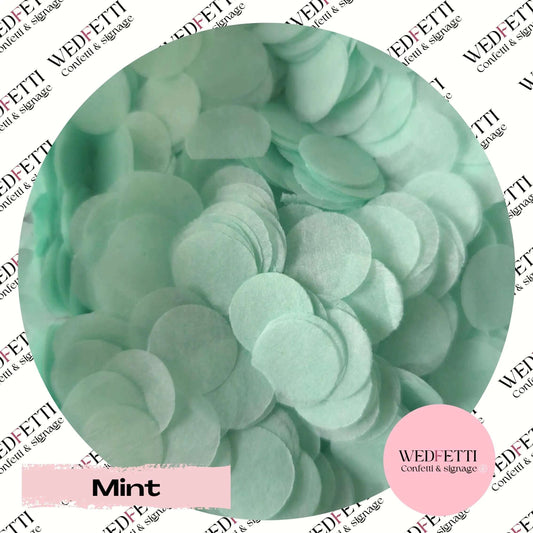 Slow falling paper Confetti - Mint - WedFetti Confetti & Signage